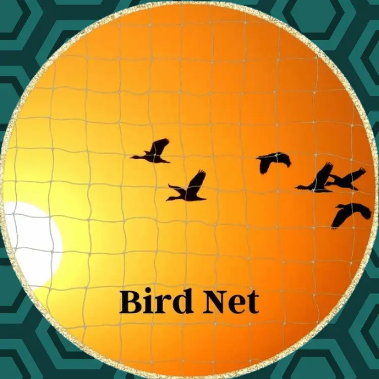 Bird Net
