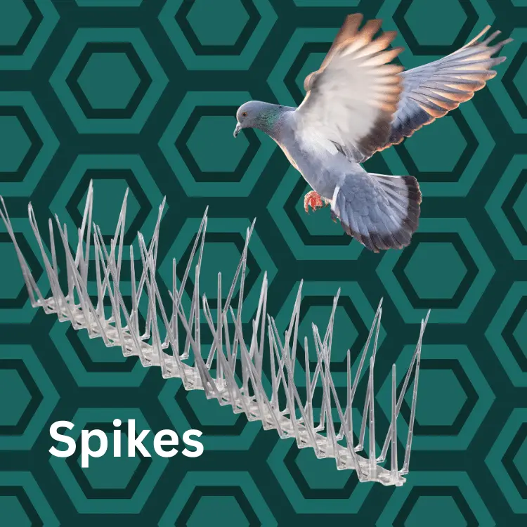 Spike